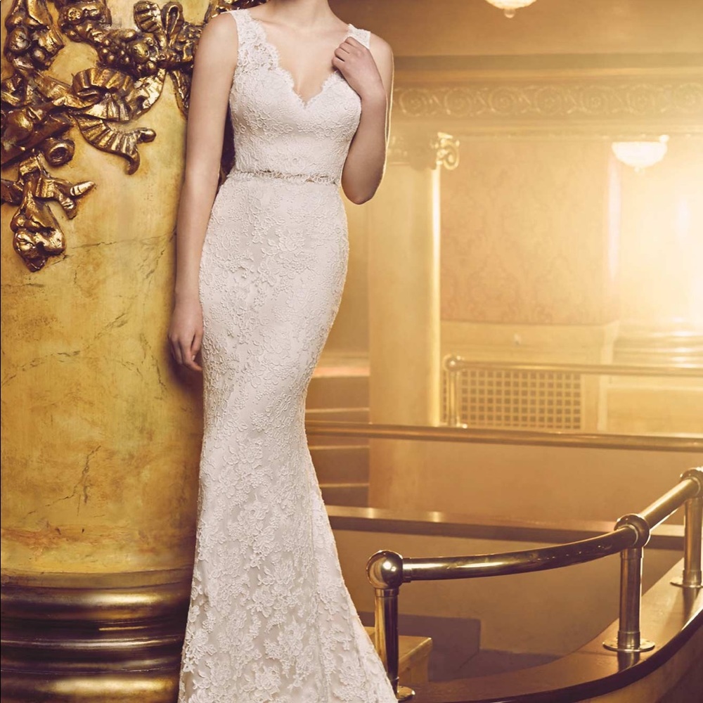 Paloma Blanca- 4705